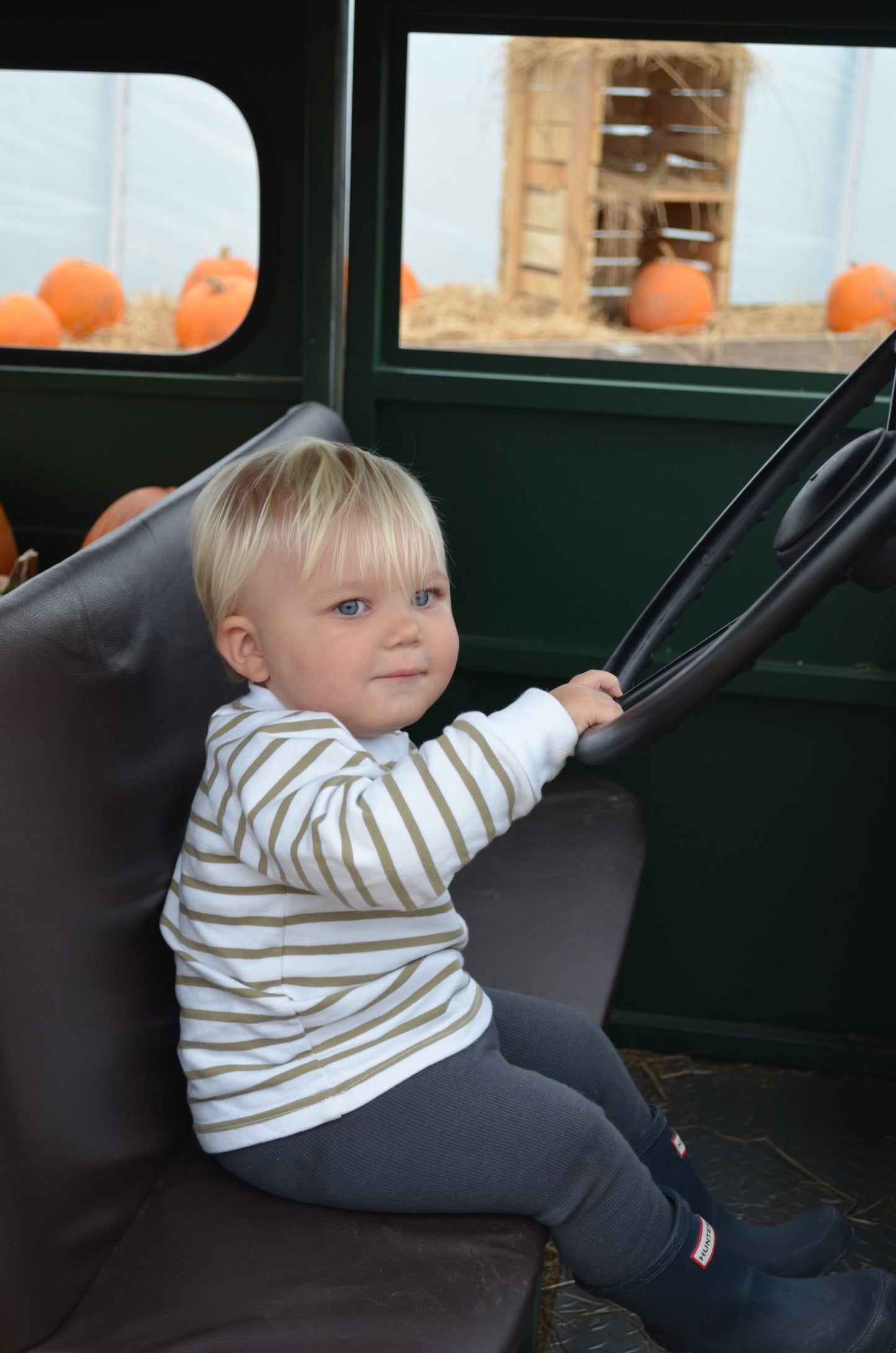 Olive Stripe Sweatshirt