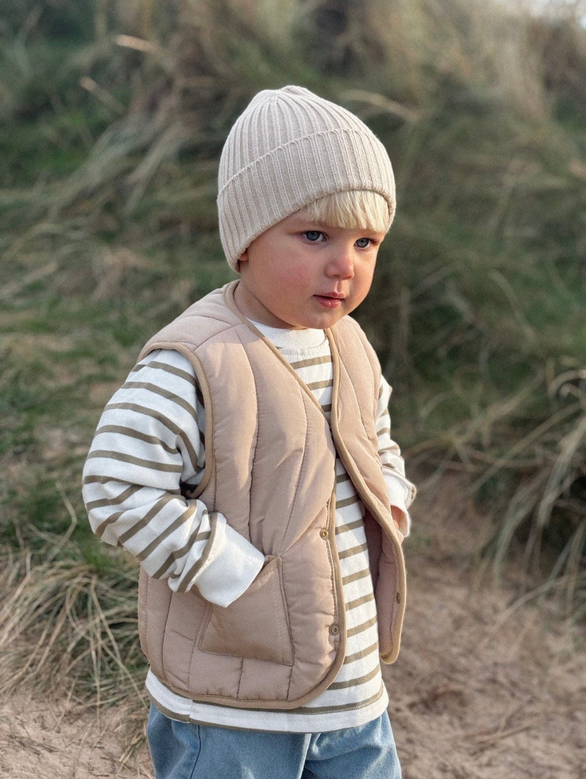 Olive Stripe Sweatshirt