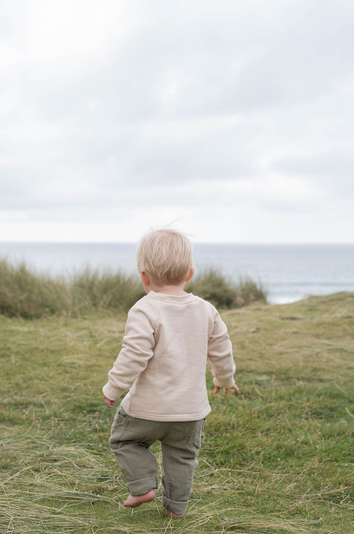 Oat Sweatshirt
